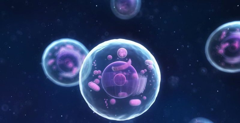 Lee más sobre el artículo ¿Qué es la célula y por qué es importante?